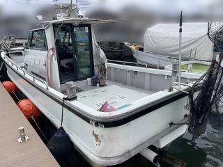ヤンマー DE35FPA