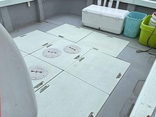 ヤンマー DE35FPA