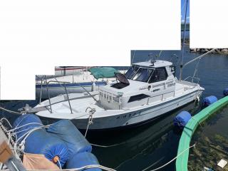 ヤンマー EX29Z