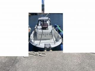 ヤンマー EX29Z