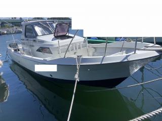 ヤンマー EX29Z