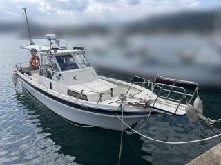 ヤマハ FC33(EH8)