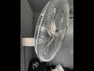 ヤンマー DE33