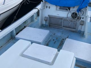 ヤンマー とびうおDE28Z-2