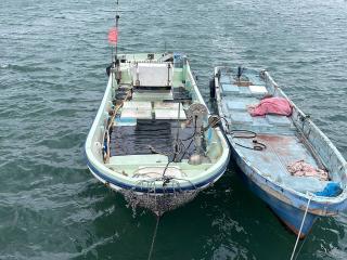 ヤンマー ZD30