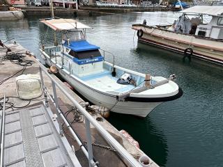 ヤンマー DE25
