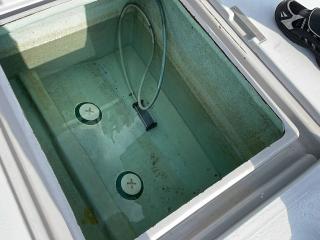 ヤンマー あらしおDE31F