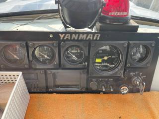 ヤンマー あらしおDE36F