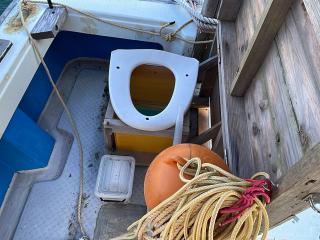 ヤンマー あらしおDE36F