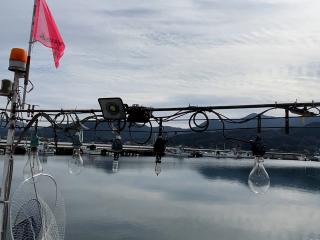 梅地造船所 梅地造船所 29フィート漁船