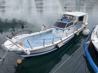ヤマハ DY29B