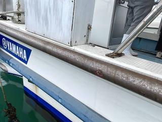 ヤマハ DY29B