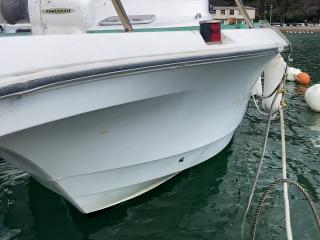 ヤンマー マリンハンターFZ30-IS