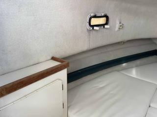 パスートPURSUIT 2470ウォークアラウンド