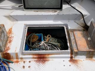 ヤンマー あらしおDE31F
