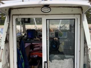 ヤンマー あらしおDE31F