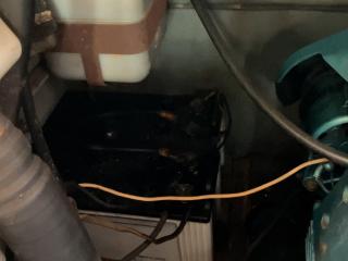 ヤンマー あらしおDE31F
