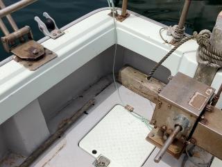 ヤンマー あらしおDE31F