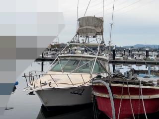 Cat Harbor Boat CABO35 EXPRESS