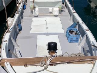 ヤンマー はやしおDE33B