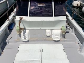 ヤンマー はやしおDE33B