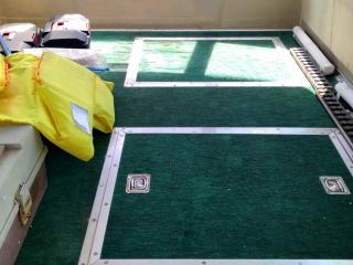 ヤンマー はやしおDE33B