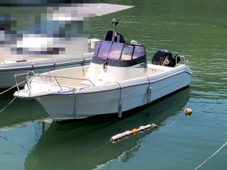 スズキ F230