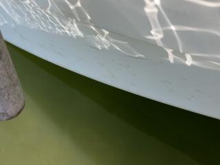 スズキ F230