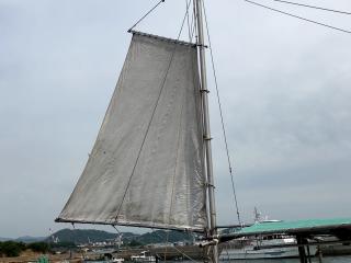 ヤマハ DW45