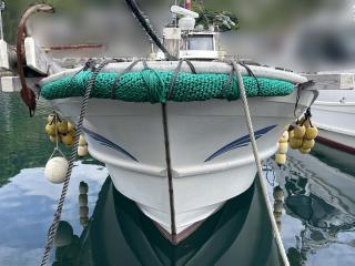 ヤマハ DY36N(G2K)