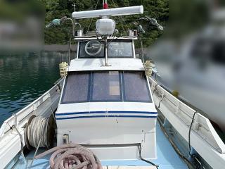 ヤマハ DY36N(G2K)
