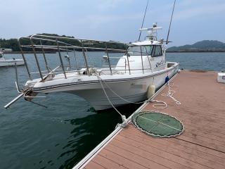 ヤンマー EX35II
