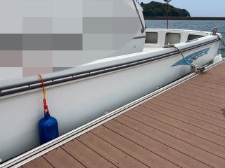 ヤンマー EX35II