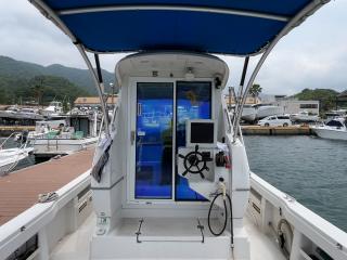 ヤンマー EX35II