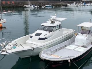 ヤンマー FX32Z