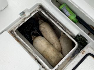 ヤンマー FX32Z