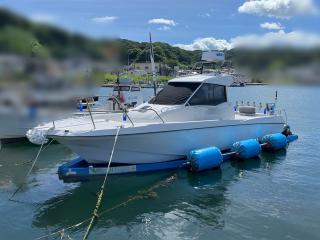 ヤンマー FX24EZ