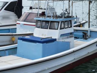 ヤマハ DY-25A