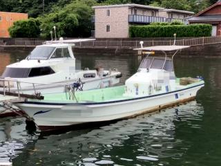 ヤンマー ZD30