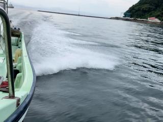 ヤンマー ZD30