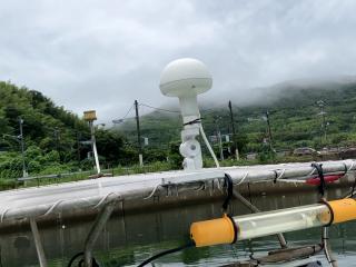 ヤンマー ZD30