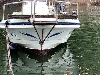 ヤンマー ZD30