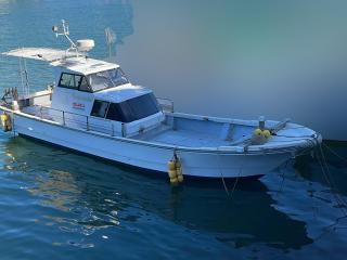 ヤマハ YDX30B(FA1-D)