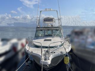 PURSUTパスート 3400 EXPRES FISH