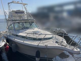 PURSUTパスート 3400 EXPRES FISH