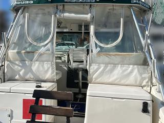 PURSUTパスート 3400 EXPRES FISH