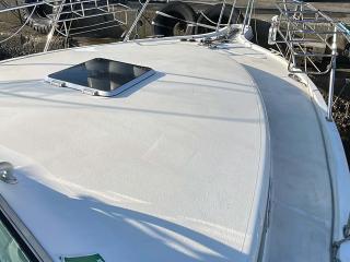 PURSUTパスート 3400 EXPRES FISH