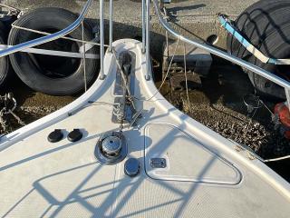 PURSUTパスート 3400 EXPRES FISH
