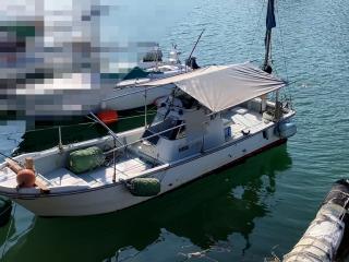 ヤンマー はやしおDE24B