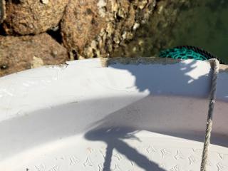 ヤンマー はやしおDE24B